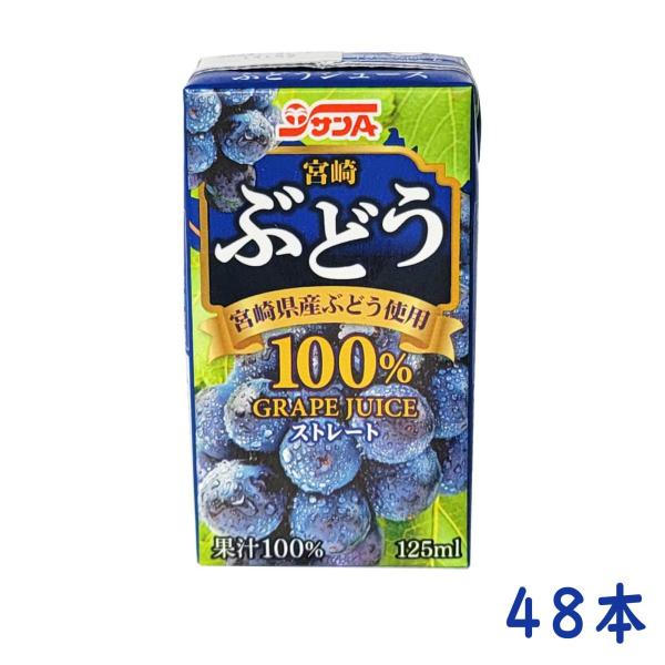 サンA 宮崎 ぶどう 果汁100% ジュース 125ml 48本 宮崎県農協果汁株式会社 国産 グレ...