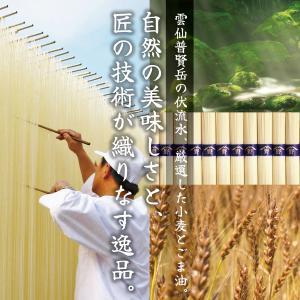 島原 手延べ そうめん 素麺 800g 野村屋...の詳細画像1
