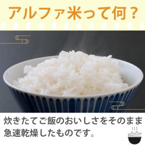 月間セール 訳あり 5年未満 長期保存 尾西の...の詳細画像1