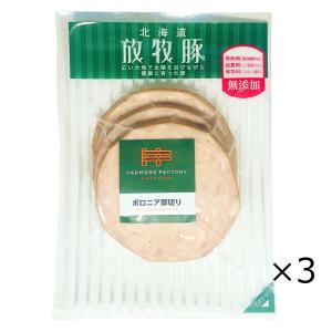 [無添加]北海道放牧豚ボロニア厚切りソーセージ 130g（3枚入）×3個セット 無塩せき [ハムの代わりにも]【クール便】｜iyasakastore