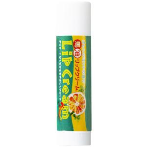 日本創健 馬油リップクリーム オレンジミントの香り 4g 防腐剤無添加 [ポスト投函]｜iyasakastore