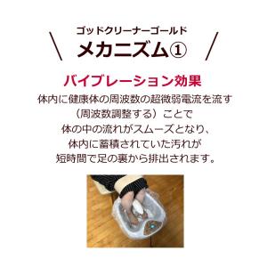 ゴッドクリーナーゴールド GOD-CLEANE...の詳細画像2