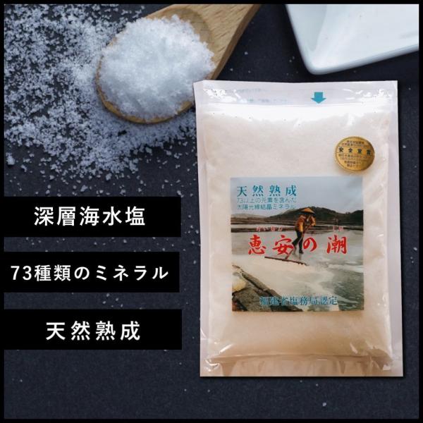 恵安の潮  ｜ 1kg 粗塩 天然塩 ミネラル 発酵