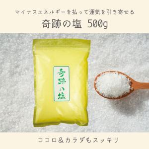 奇跡の塩 ｜ 500ｇ 天然塩 お清め 浄化 開運 盛り塩｜iyashi369