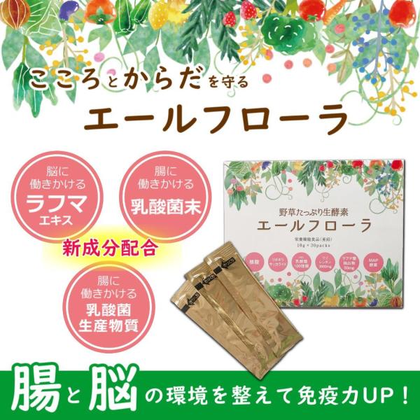 野草酵素エキス 野草たっぷり酵素 エールフローラ ｜ 10ｇ×30包