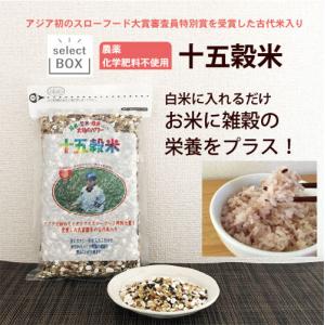 十五穀米 ｜ 500ｇ 無農薬 無化学肥料 古代米