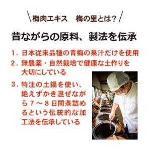 梅肉エキス 梅の里 | 30g 濃縮エキス 国...の詳細画像3