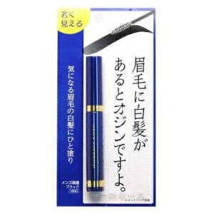 ※6個までゆうパケット・定形外郵便送送料300円※ 『メンズ 眉墨　ブラック』