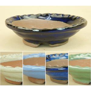 盆栽-いよじ園-Yahoo!店 - Yahoo!ショッピング