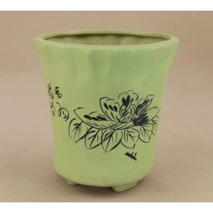 盆栽-いよじ園-Yahoo!店 - Yahoo!ショッピング