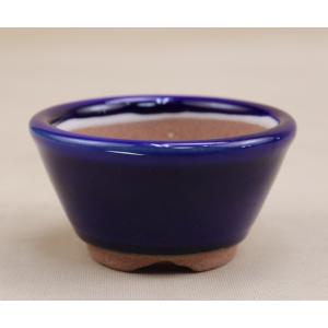 本：新版 盆栽小鉢図鑑*資材 : 遊恵盆栽 Yahoo!店 - 通販