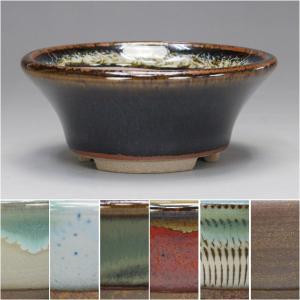 本：新版 盆栽小鉢図鑑*資材 : 遊恵盆栽 Yahoo!店 - 通販