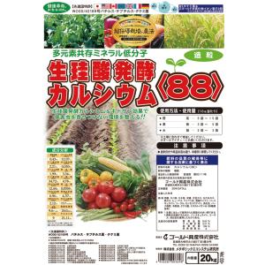 生珪酸発酵カルシウム８８　20kg　送料含む｜iyonousan-store
