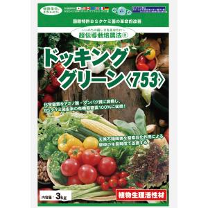 ドッキンググリーン＜753＞ 3kg　送料含む｜iyonousan-store