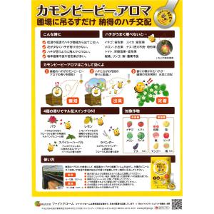 カモンビービー アロマ 1袋 10パック入 送料無料の詳細画像2