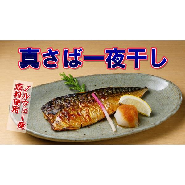 さば 干物　サバ 鯖 脂 居酒屋メニュー ノルウェー原料 業務用 熟練の干物職人が干した　真サバ　一...