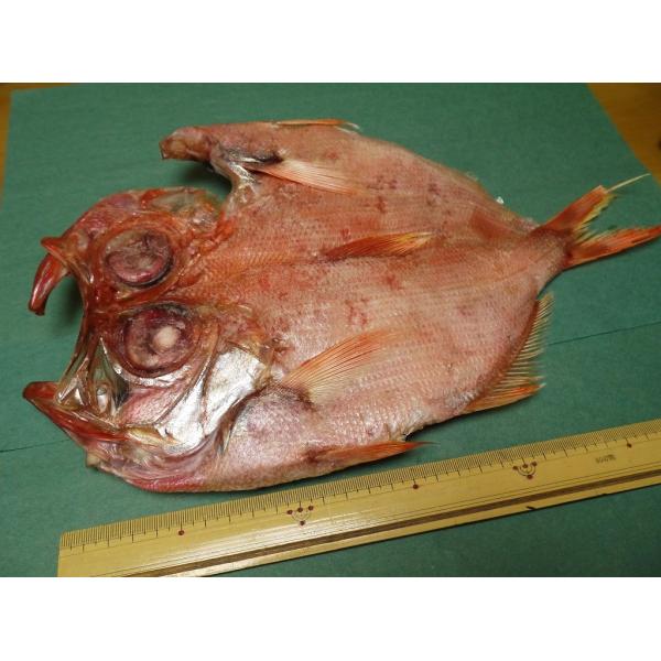 金目鯛　干物　ジャンボ　特大　お祝い　業務用　全長30cmほど　ジャンボキンメダイ一夜干し　5枚