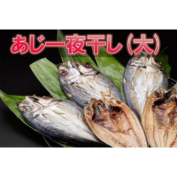 アジ　鯵　あじ開き　業務用　居酒屋メニュー　脂あり　熟練の職人が干した　開きあじ　一夜干し　(大)　...