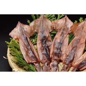スルメイカ 干物 業務用 丸干し 酒の肴 居酒...の詳細画像2
