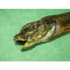 ゲンゲ げんげ 幻魚 水魚 ドギ 干物 完全乾...の詳細画像3