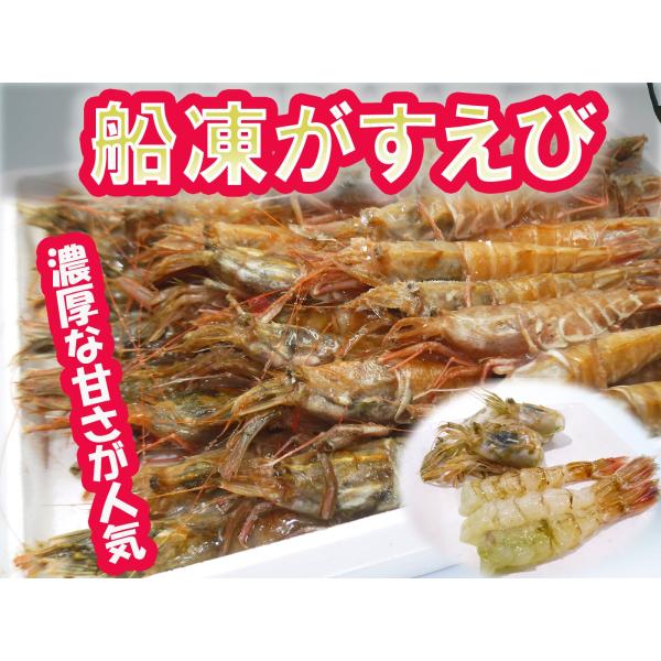 ガスエビ　ガス海老　モサエビ　刺身可　甘み濃厚　船凍　がすえび　約40尾