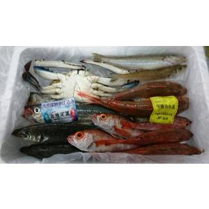 鮮魚　直送　鮮魚セット　鮮魚詰め合わせ　鮮魚ボックス　朝どれ　きときと鮮魚セット