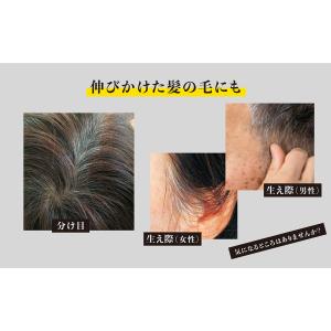 眉毛染め 男性 メンズ 眉毛白髪染め 白髪染め...の詳細画像5