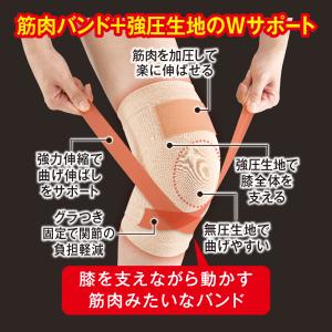 ●350円OFFクーポン● 膝サポーター ひざ...の詳細画像2