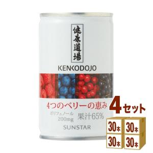 サンスター 健康道場 4つのベリーの恵み  160ml×30本×4ケース (120本)｜izmic-ec