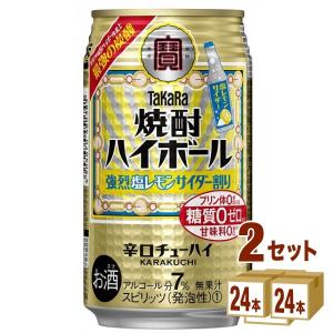 チューハイ 宝酒造 タカラ 焼酎ハイボール 強烈 塩レモンサイダー割り 350ml 2ケース(48本)