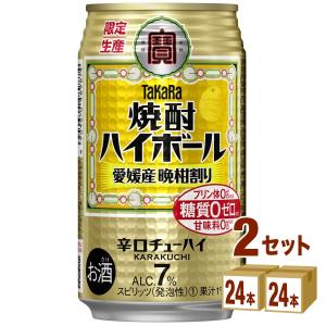 宝酒造 タカラ 焼酎ハイボール ＜愛媛産晩柑割り＞ 缶 350ml 2ケース (48本)｜izmic-ec