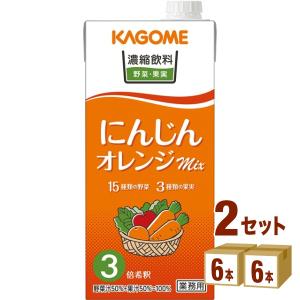 カゴメ 濃縮飲料 にんじん・オレンジミックス (3倍濃縮) 1000ml 2ケース(12本)｜izmic-ec