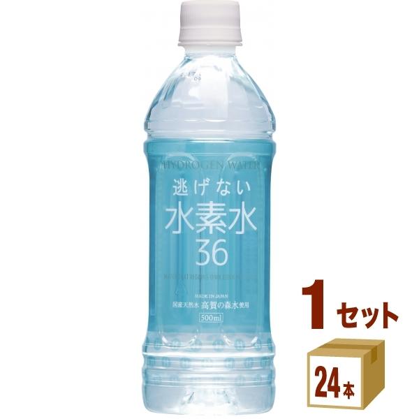 奥長良川名水 逃げない水素水36 500ml 1ケース (24本)