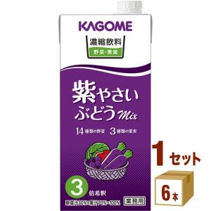 カゴメ 濃縮飲料 紫やさい・ぶどうミックス (3倍濃縮) 1000ml 1ケース(6本)｜izmic-ec