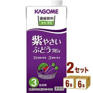カゴメ 濃縮飲料 紫やさい・ぶどうミックス (3倍濃縮) 1000ml 2ケース(12本)｜izmic-ec