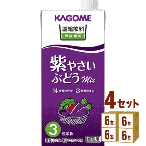 カゴメ 濃縮飲料 紫やさい・ぶどうミックス (3倍濃縮) 1000ml 4ケース(24本)｜izmic-ec