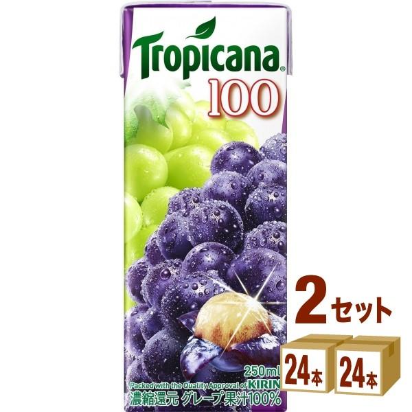 キリン トロピカーナ 100％ グレープ  紙(LLスリム) 250ml×24本×2ケース (48本...