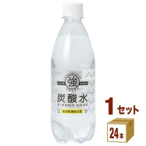 友桝 強炭酸水 ペット500ml 24本 天然水 炭酸水