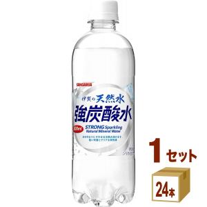 日本サンガリア 伊賀の天然水 強炭酸水 500ml×24本×1ケース (24本)