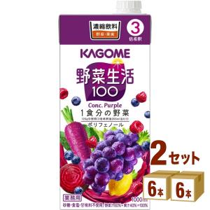 カゴメ 野菜生活100 パープル (3倍濃縮) 1000ml 2ケース(12本)｜izmic-ec