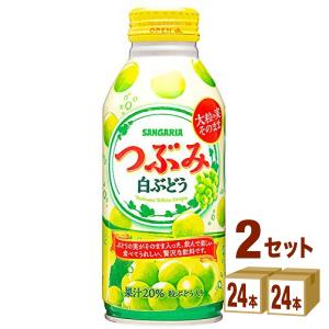 サンガリア つぶみ 白ぶどう 380ml 48本｜イズミックワールド