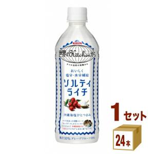 キリン 世界のKitchenから ソルティライチ 500ml 1ケース(24本)｜izmic-ec