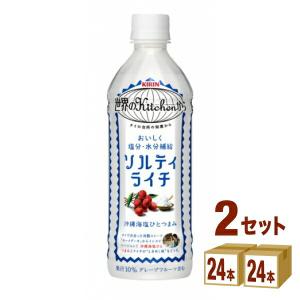 ポイント+10%対象ストア キリン 世界のKitchenから ソルティライチ 500ml 2ケース(48本)｜イズミックワールド