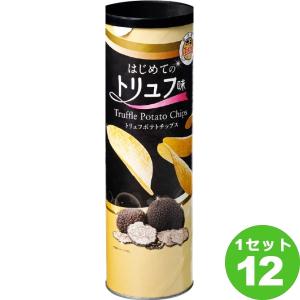 ポテTravel トリュフ ポテトチップス  110g×12箱 アライドコーポレーション