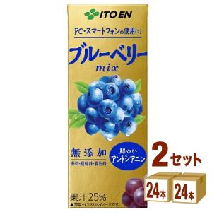 伊藤園 ブルーベリーぶどうmix 紙パック 200ml×24本×2ケース (48本)