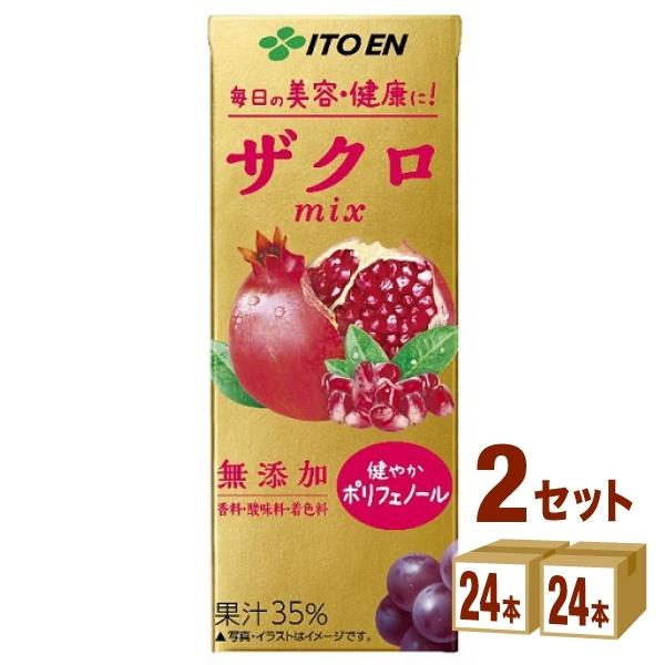 伊藤園 ザクロｍix 紙パック 200ml 2ケース(48本)