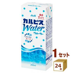 エルビー カルピスウォーター 250ml 紙パック 24本入 乳性飲料 カラダ