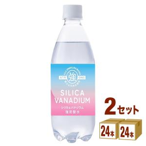 友桝飲料 シリカ＆バナジウム強炭酸水 ペット 炭酸水 500ml 2ケース (48本)