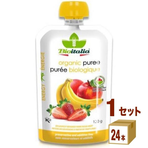 テルヴィス とろりーのイタリアン スムージー リンゴ イチゴ ミックス 120ml 1ケース (24...