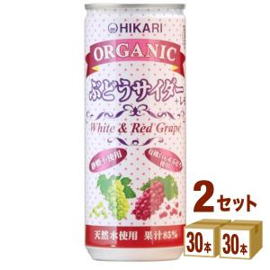 光食品 ヒカリ オーガニック ぶどうサイダー＋レモン プラスレモン ノンアルコール 250ml 2ケース (60本)